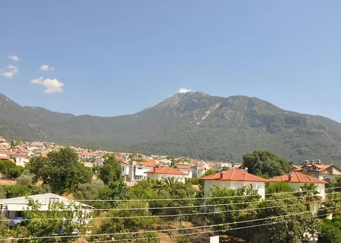 Mountains فتحية