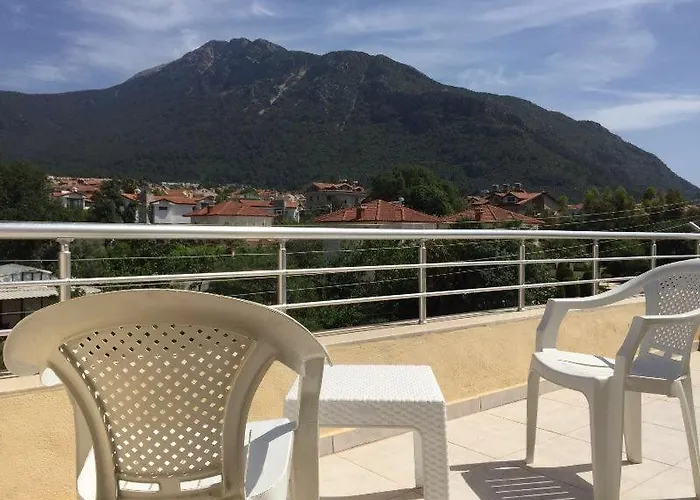 Mountains فيلة *