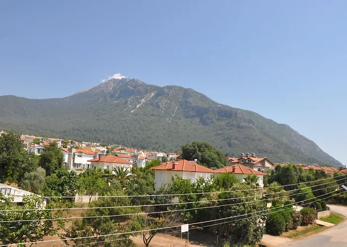 Mountains * Фетхие